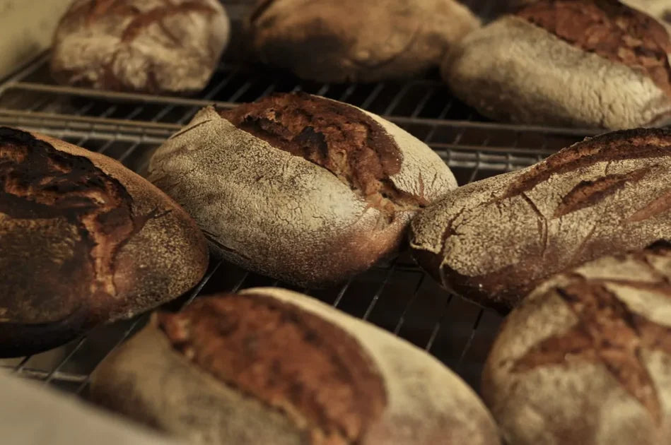 Pagnotte di pane a lievitazione naturale con crosta scura appena sfornate