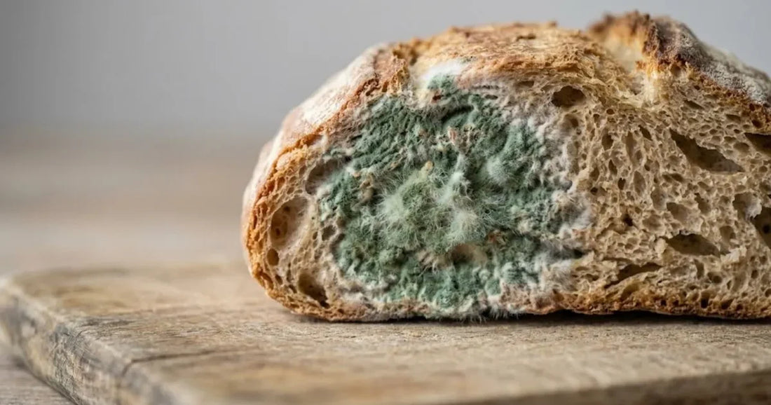 Mezza pagnotta di pane con una zona di muffa verde sulla crosta e sulla mollica
