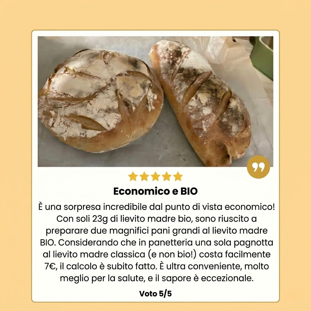 Lievito Madre di Grano Bio - Pane Express in 4 Ore